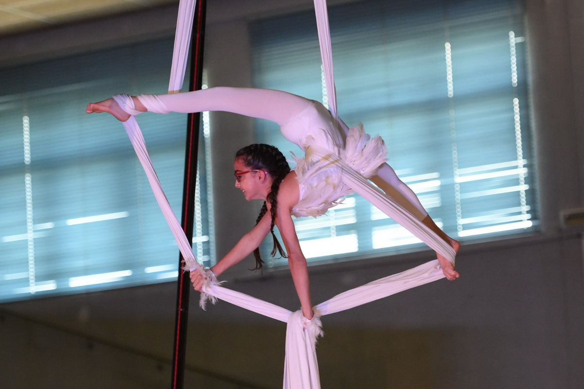 La Sinfonia dell’Acrobatica Aerea: armonia in aria