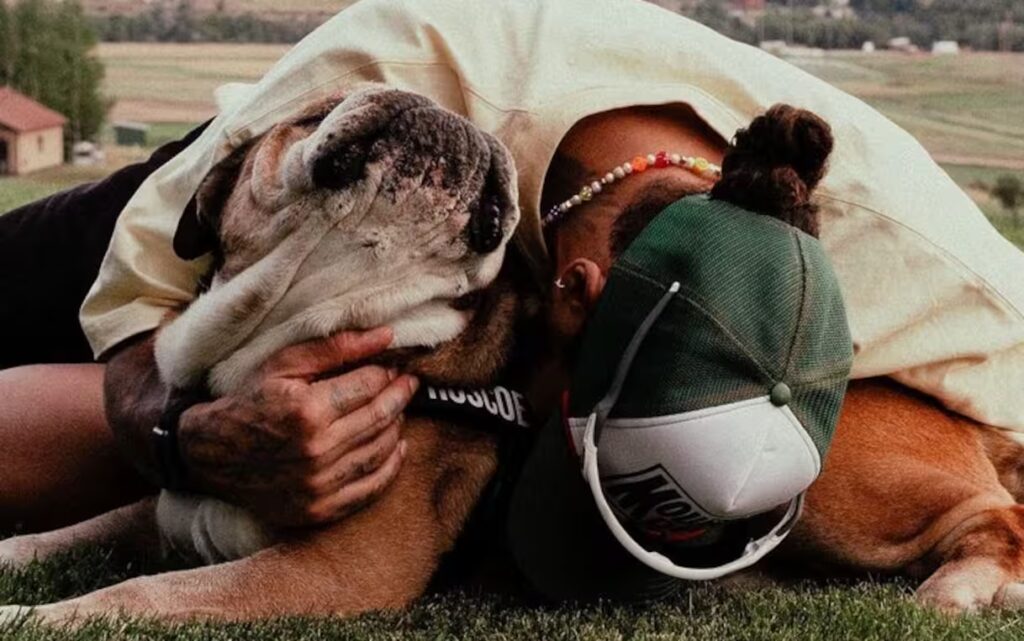 Addio a Roscoe, Hamilton saluta il suo inseparabile bulldog